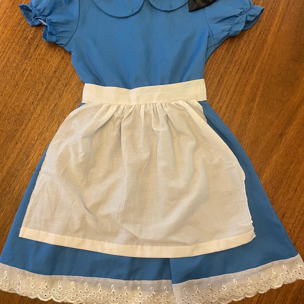 Blue Dress with White Apron Alice in Wonderland
